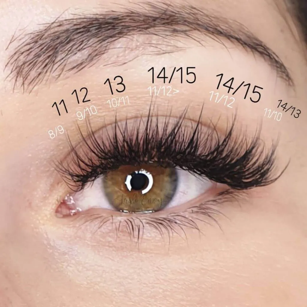Lash Mapping Explained for Beginners and Pros