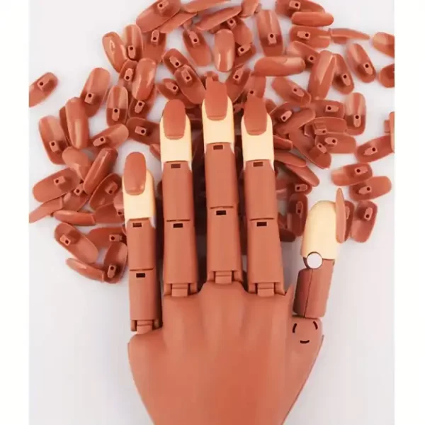 Replacement Nail Tips for Mannequin Hand - Image 2