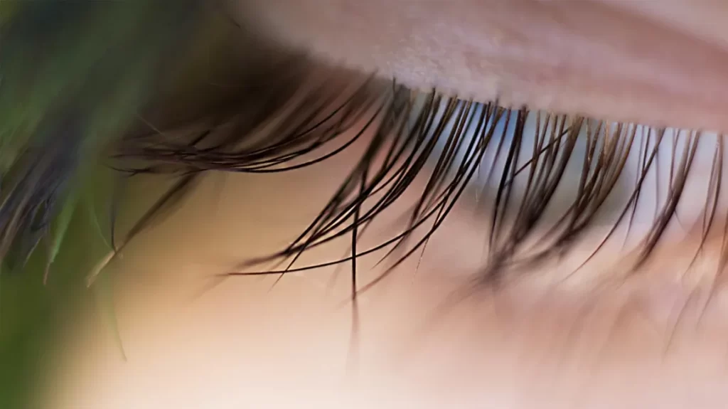 How to Help Your Eyelashes Recover Naturally